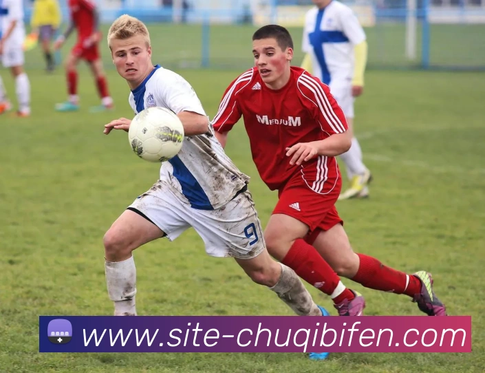 出奇足球比分平台生态图